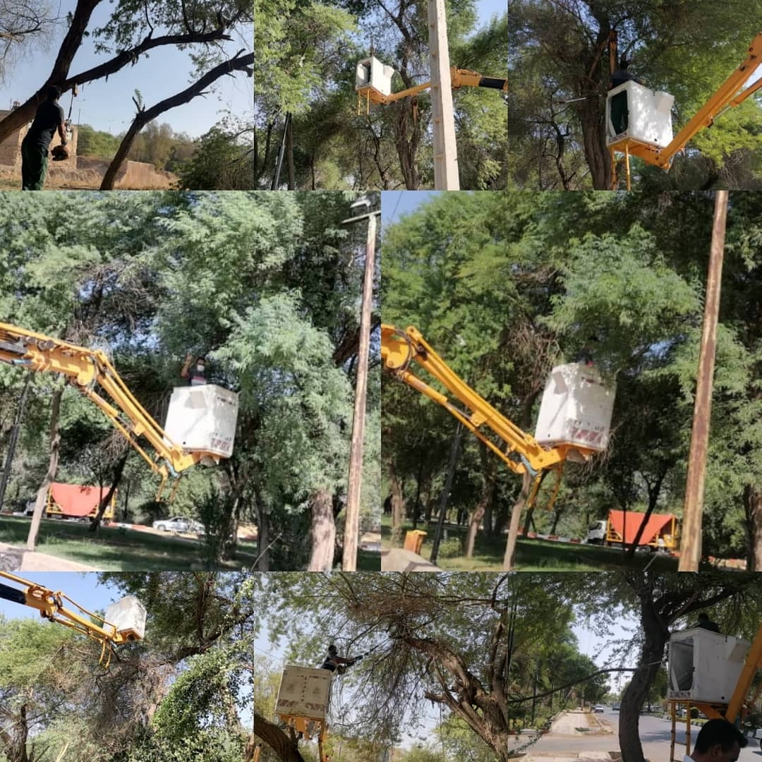 اجرای عملیات هرس سنگین درختان پارک مقام متبرک امامزاده عبدالله به روایت تصویر