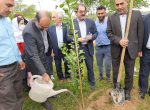 آیین بزرگداشت روز ملی درختکاری در کهن شهر شوشتر برگزار شد