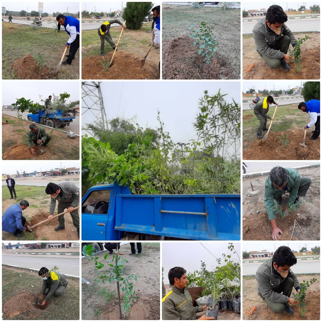 عملیات کاشت گل های فصلی و درختان بومی در بلوارها و میادین سطح شهر