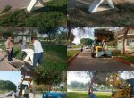 نصب منقل های کباب پز در پارک داریون توسط تلاشگران معاونت خدمات شهری شهرداری شوشتر
